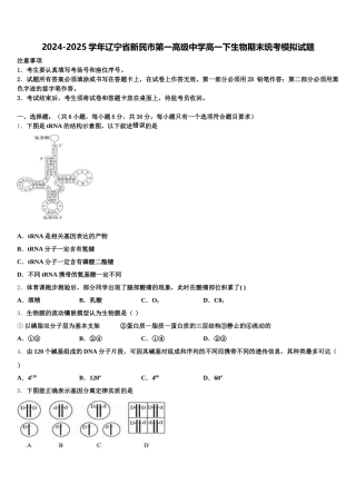 2024-2025学年辽宁省新民市第一高级中学高一下生物期末统考模拟试题含解析