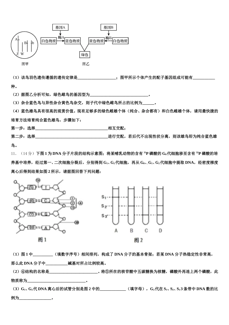 辽宁省沈阳市二十中学019-2025年高一下生物期末联考模拟试题含解析_第3页