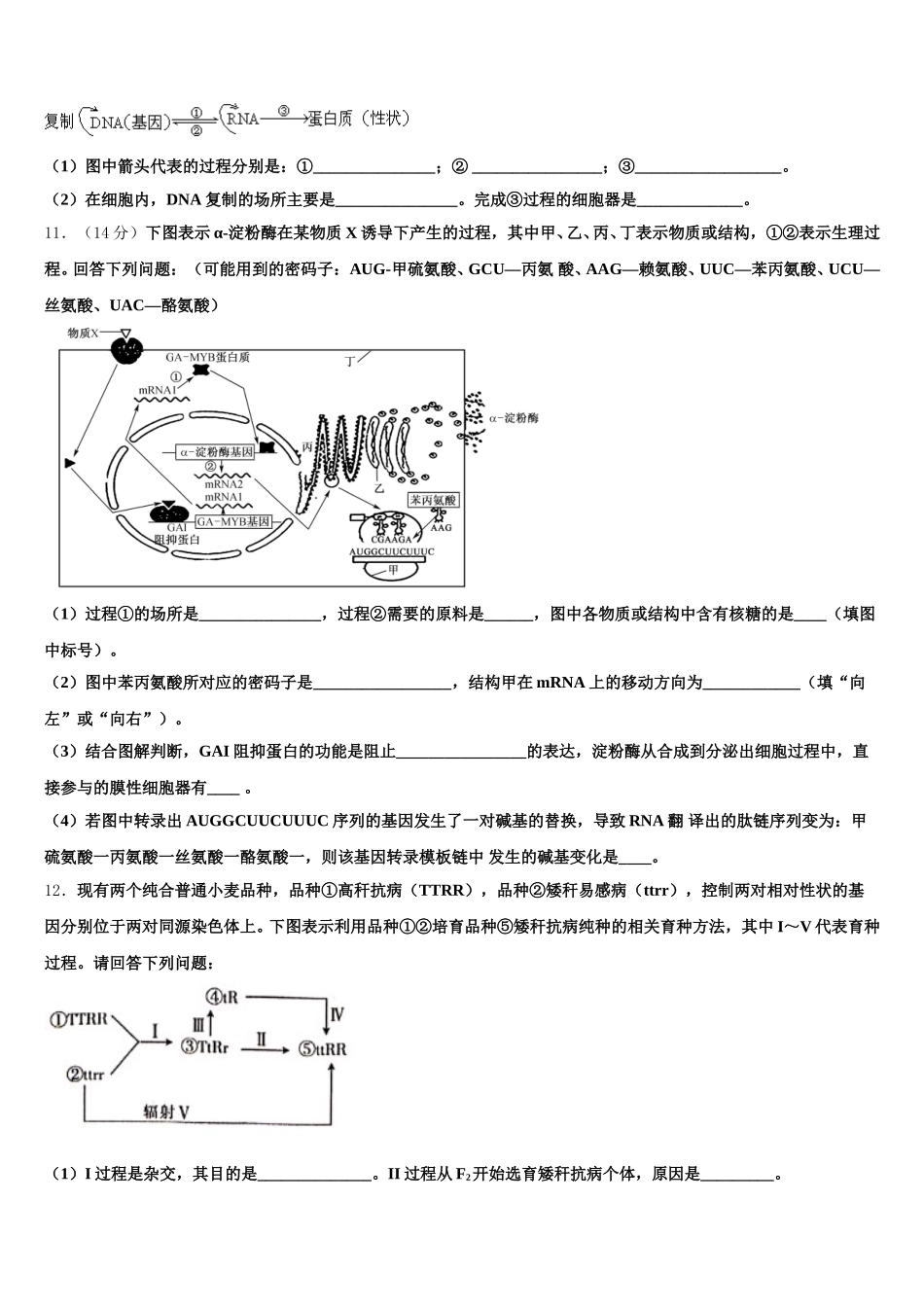 2025届辽宁省抚顺市“六校协作体”高一下生物期末达标测试试题含解析_第3页