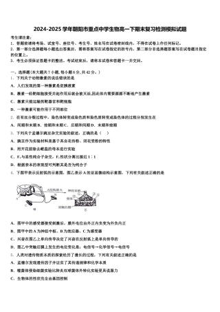 2024-2025学年朝阳市重点中学生物高一下期末复习检测模拟试题含解析