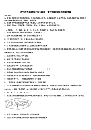 辽宁师大学附中2025届高一下生物期末检测模拟试题含解析