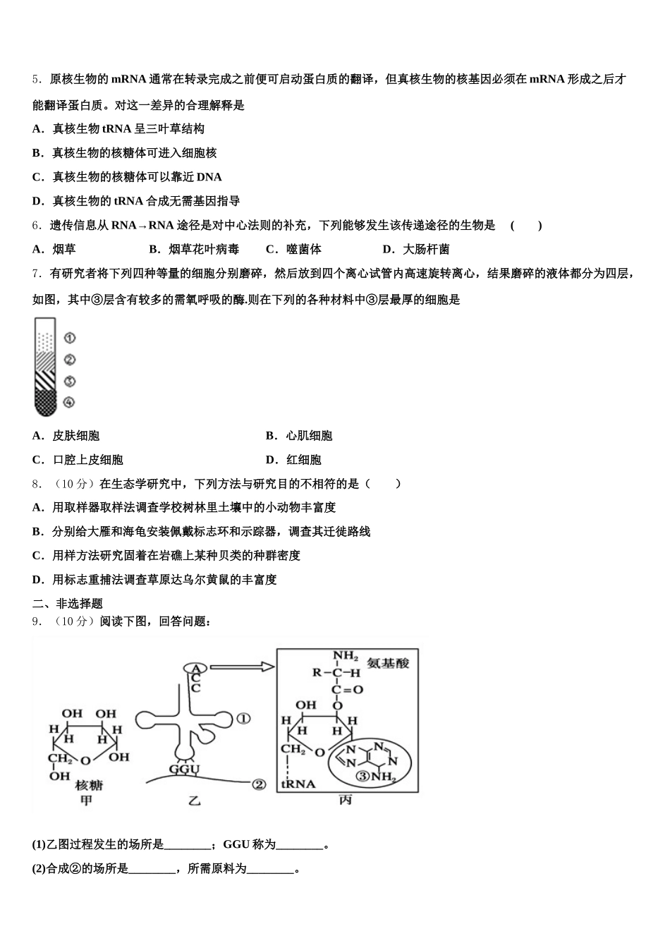 辽宁省沈阳市第三十一中学2024-2025学年高一下生物期末联考模拟试题含解析_第2页