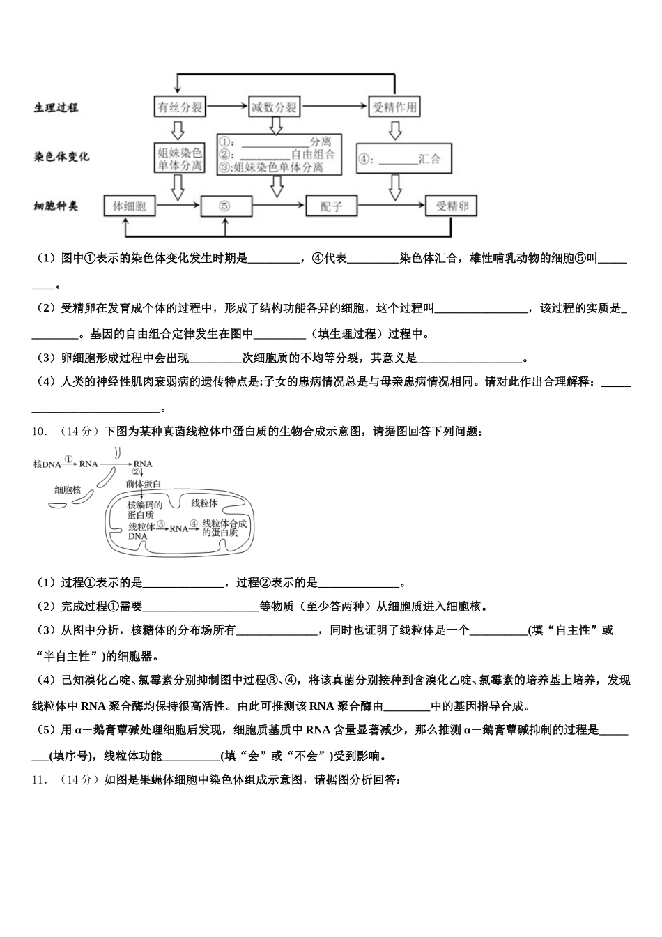 2025年辽宁省大连育明高级中学、本溪市高级中学生物高一第二学期期末综合测试模拟试题含解析_第3页