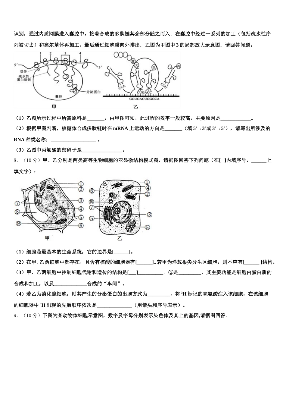 辽宁省瓦房店高级中学2025届生物高一下期末预测试题含解析_第2页