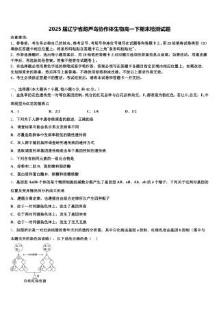 2025届辽宁省葫芦岛协作体生物高一下期末检测试题含解析