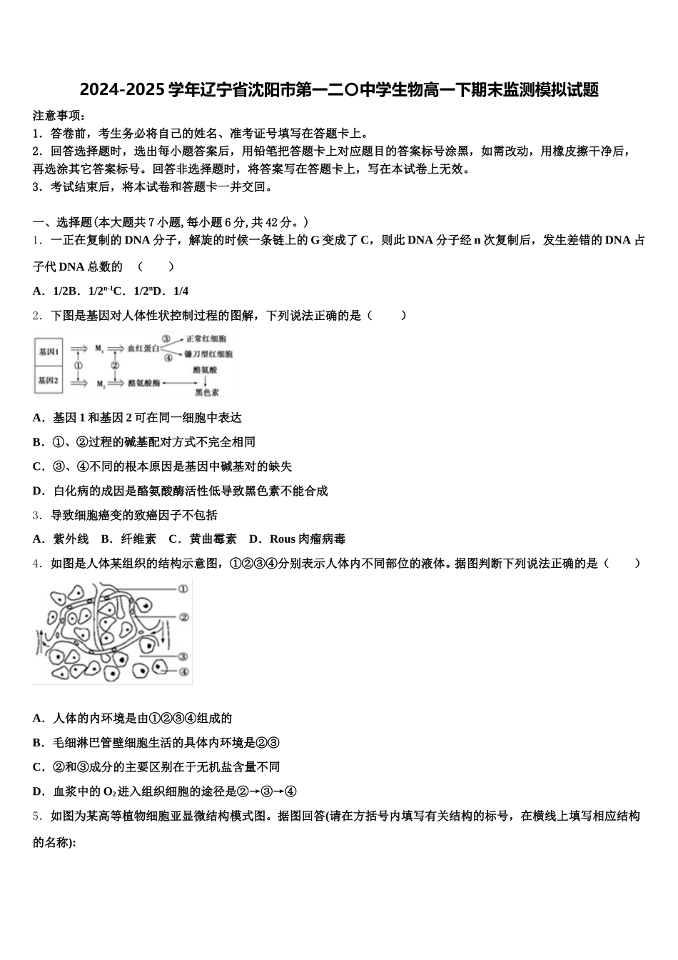 2024-2025学年辽宁省沈阳市第一二〇中学生物高一下期末监测模拟试题含解析_第1页