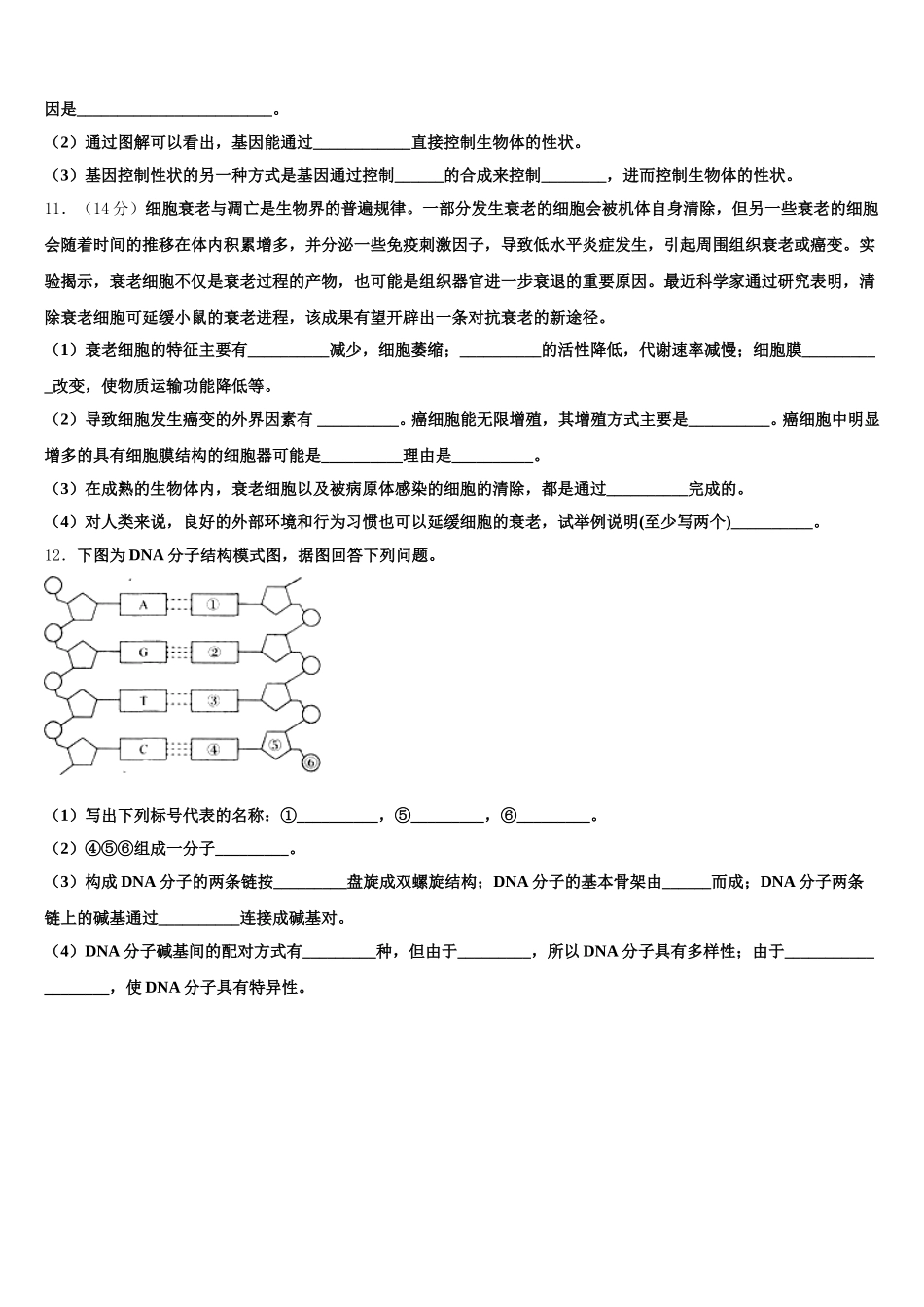 辽宁省沈阳市第一七零中学2025年生物高一下期末学业质量监测模拟试题含解析_第3页