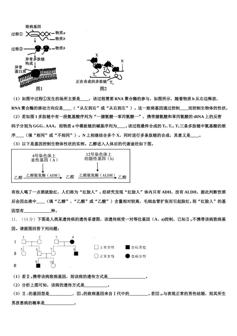 2025届辽宁省沈阳市交联体高一生物第二学期期末综合测试模拟试题含解析_第3页