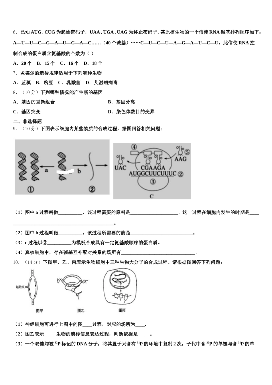 2025年辽宁沈阳市第31中学高一下生物期末考试试题含解析_第2页