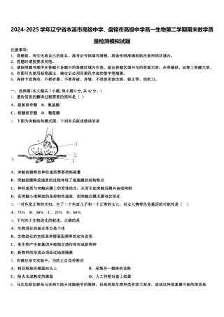 2024-2025学年辽宁省本溪市高级中学、盘锦市高级中学高一生物第二学期期末教学质量检测模拟试题含解析