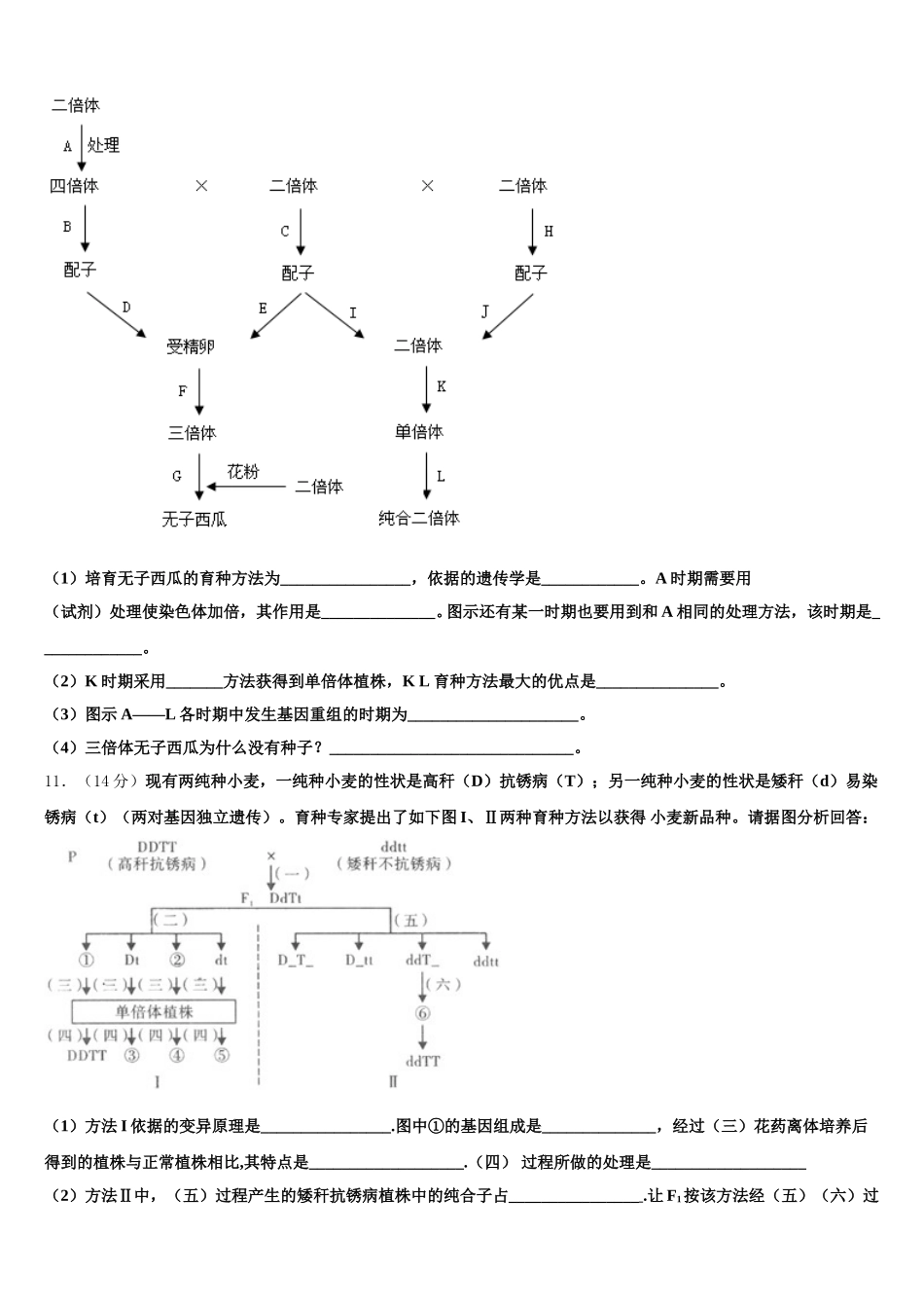 2025届本溪市重点中学高一生物第二学期期末教学质量检测试题含解析_第3页