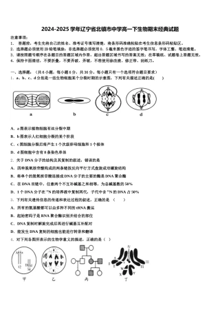 2024-2025学年辽宁省北镇市中学高一下生物期末经典试题含解析