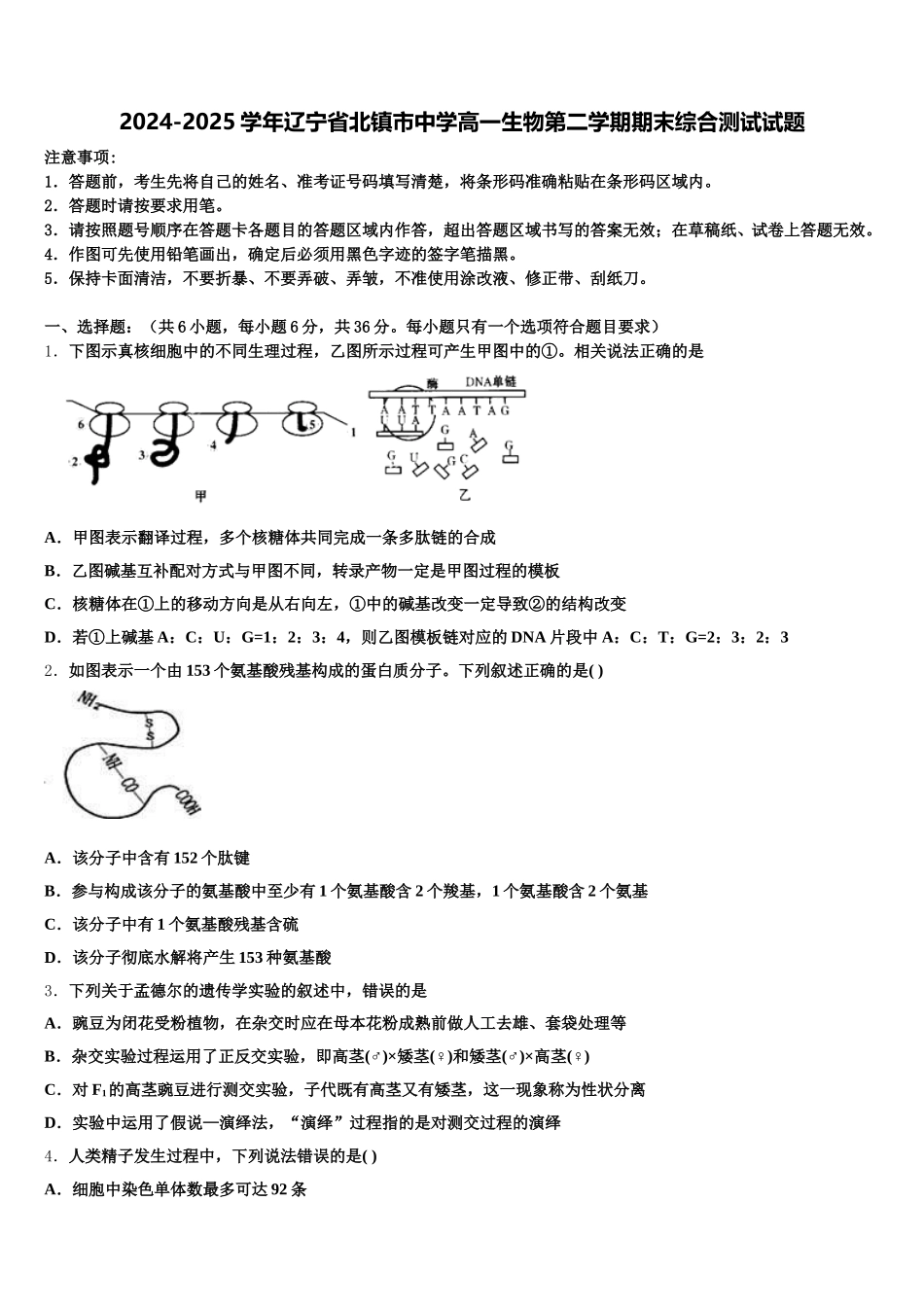 2024-2025学年辽宁省北镇市中学高一生物第二学期期末综合测试试题含解析_第1页