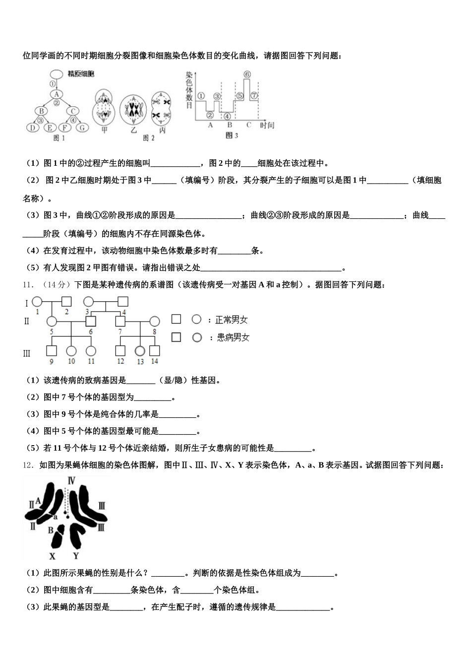 辽宁省大连市2025年生物高一下期末监测模拟试题含解析_第3页
