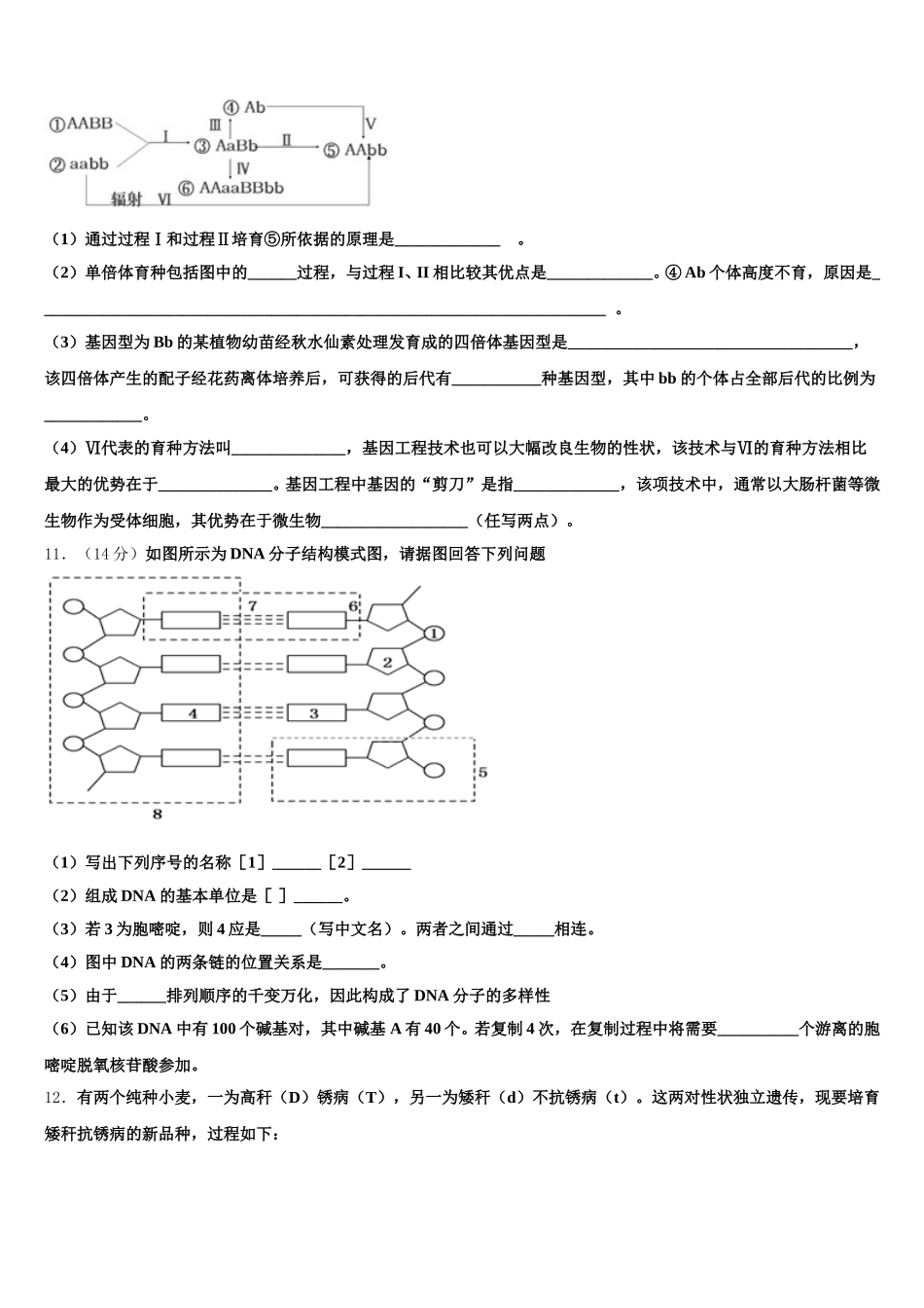 盘锦市重点中学2024-2025学年生物高一下期末调研模拟试题含解析_第3页