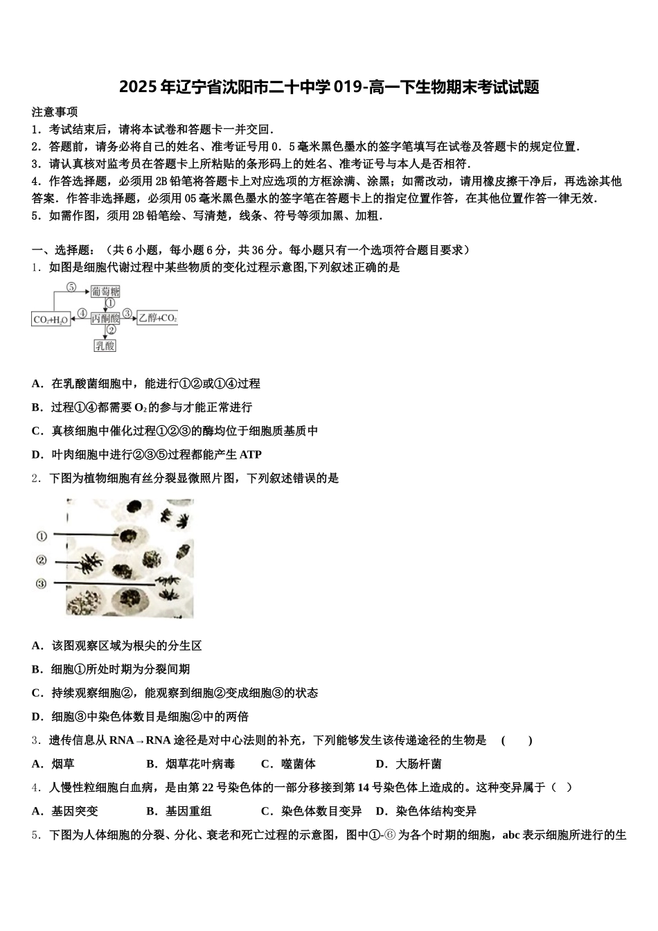 2025年辽宁省沈阳市二十中学019-高一下生物期末考试试题含解析_第1页