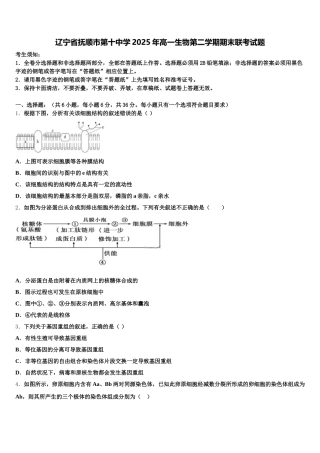 辽宁省抚顺市第十中学2025年高一生物第二学期期末联考试题含解析