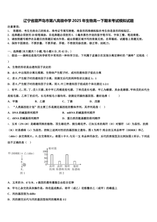 辽宁省葫芦岛市第八高级中学2025年生物高一下期末考试模拟试题含解析