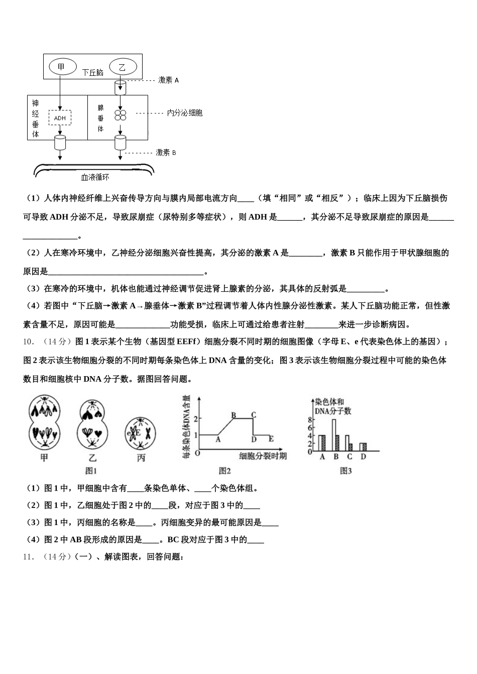 2024-2025学年辽宁省重点协作校高一下生物期末复习检测模拟试题含解析_第3页