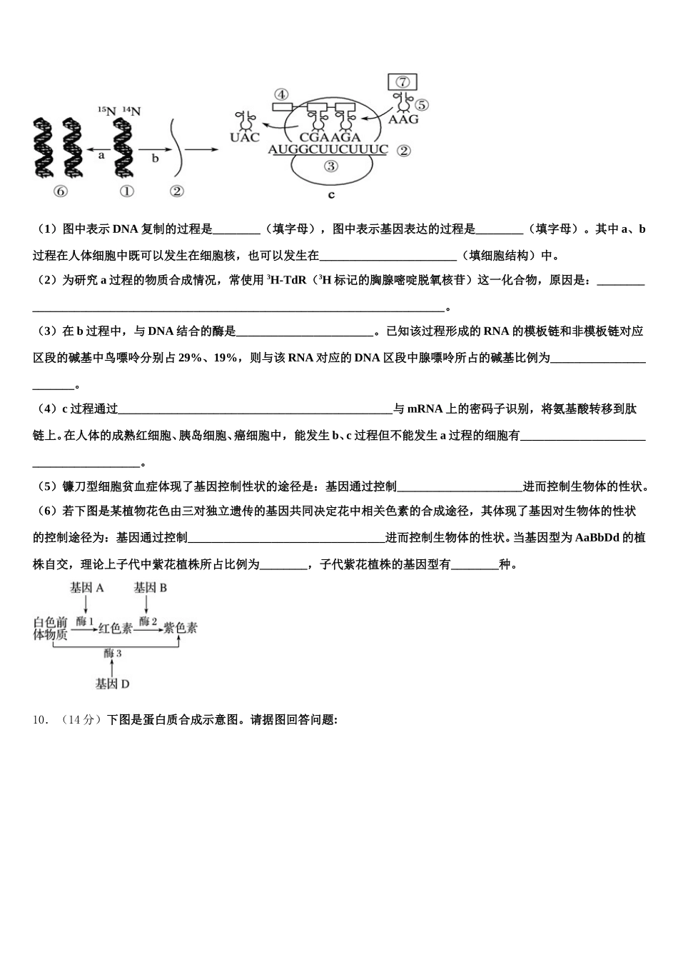 2025届辽宁省盘锦市辽河油田第二高级中学生物高一下期末统考试题含解析_第3页