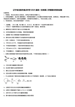 辽宁省沈阳市重点中学2025届高一生物第二学期期末预测试题含解析