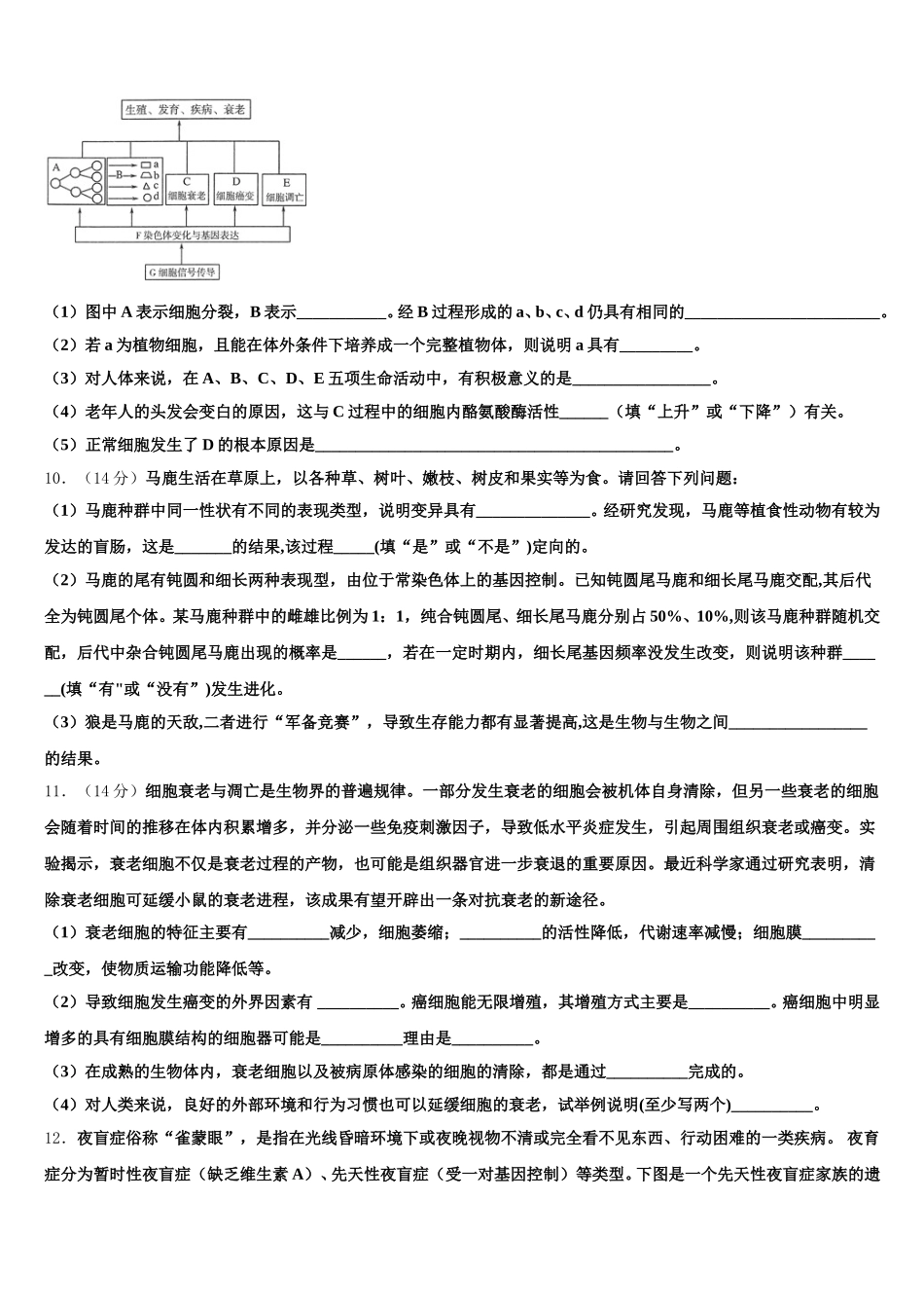 2024-2025学年辽宁沈阳市东北育才学校科学高中部生物高一下期末预测试题含解析_第3页