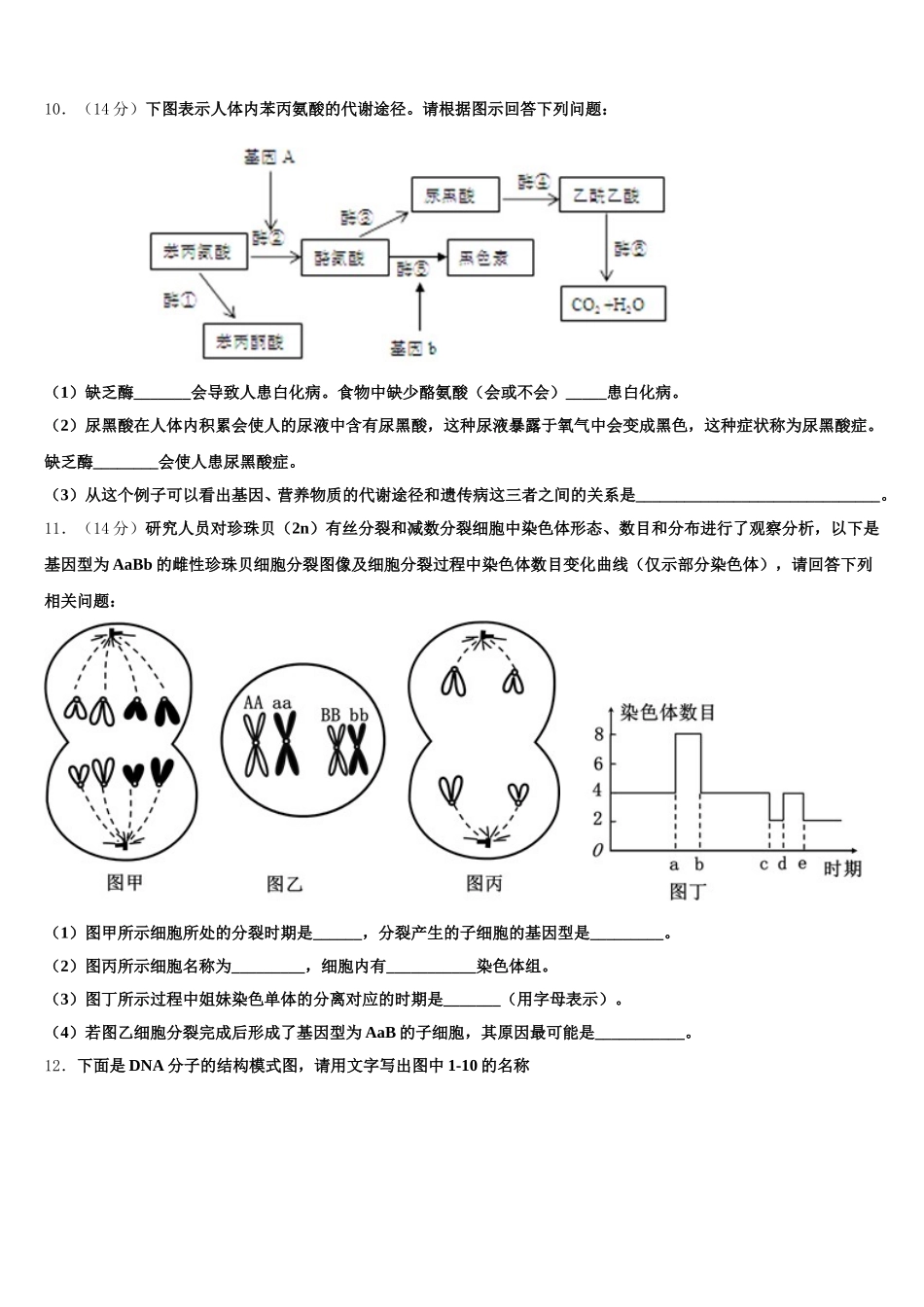 辽宁省葫芦岛市第八高级中学2025年高一下生物期末统考试题含解析_第3页
