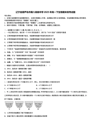 辽宁省葫芦岛市第八高级中学2025年高一下生物期末统考试题含解析