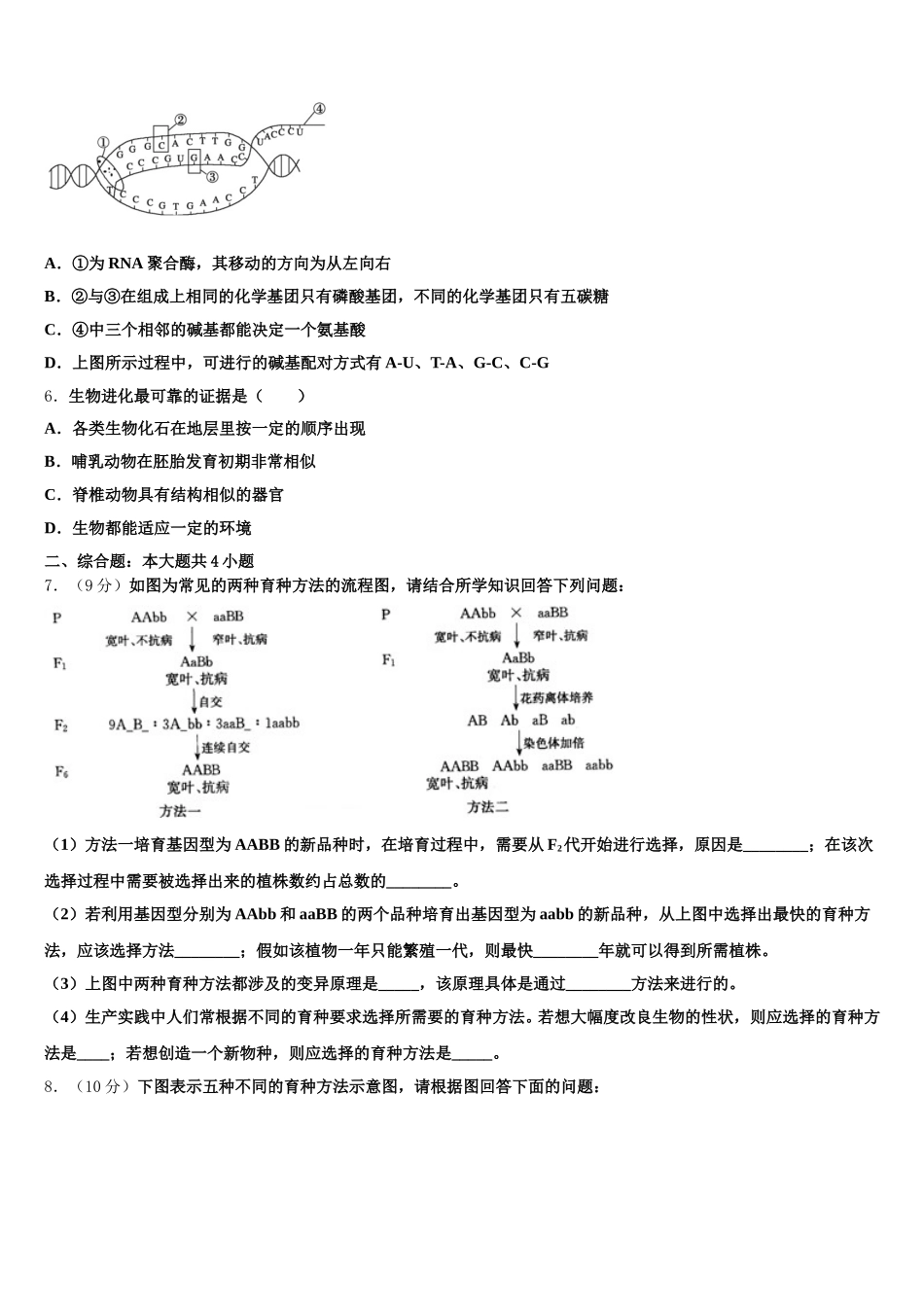 2025届辽宁省盘锦市兴隆台区辽河油田二中高一下生物期末经典试题含解析_第2页