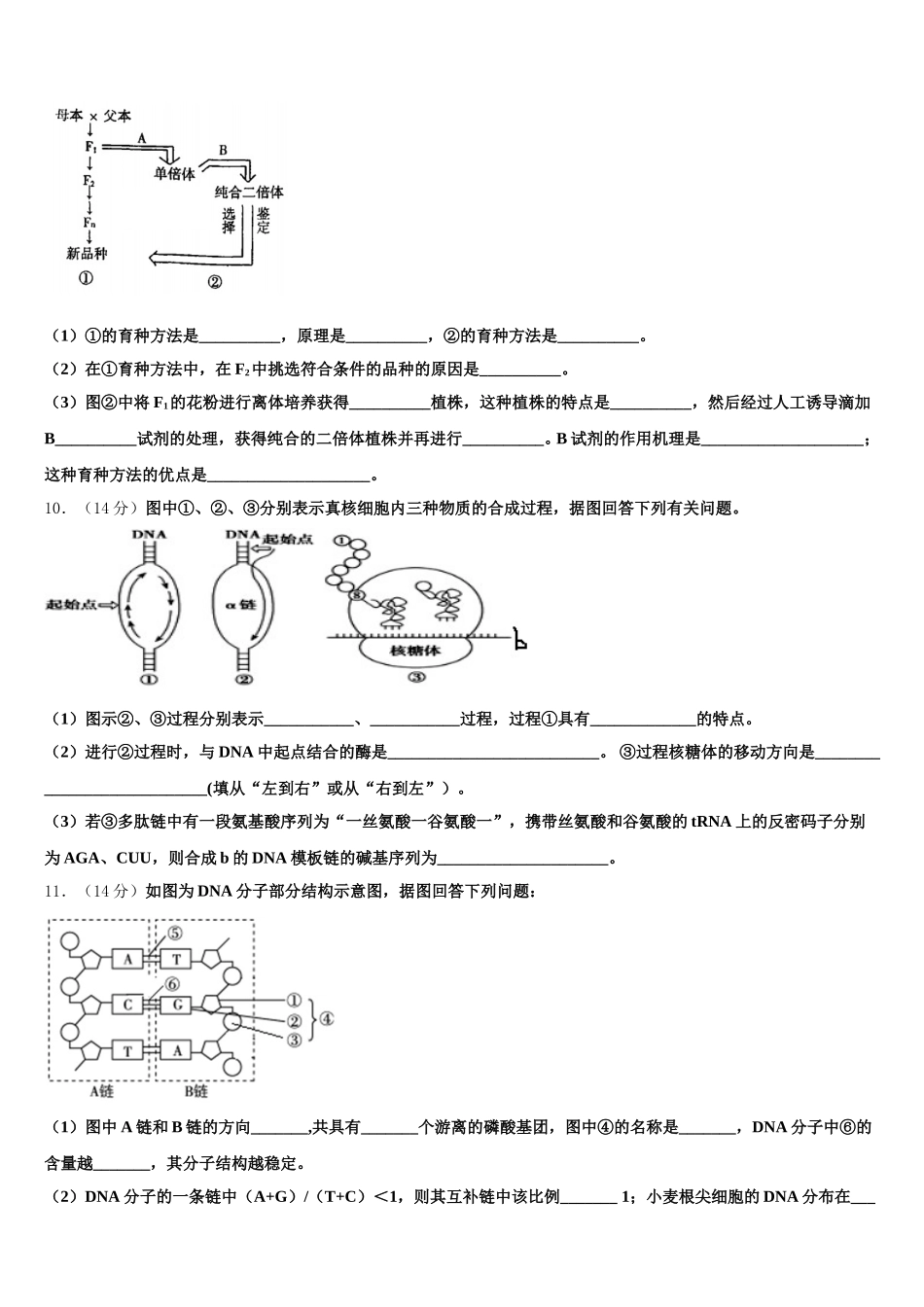 2025届辽宁省营口市开发区第一高级中学生物高一下期末达标测试试题含解析_第3页