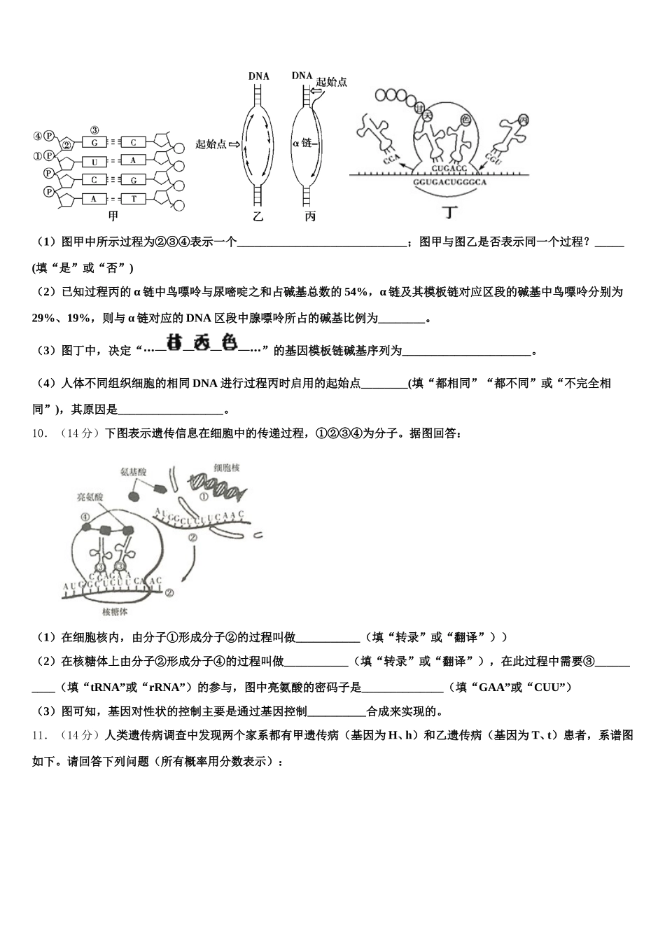 辽宁省丹东市五校协作体2025年生物高一第二学期期末经典试题含解析_第3页