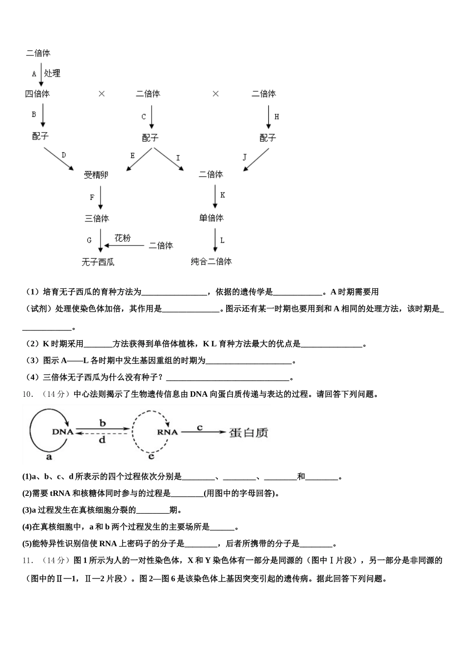 2024-2025学年辽宁沈阳市第31中学高一生物第二学期期末经典试题含解析_第3页