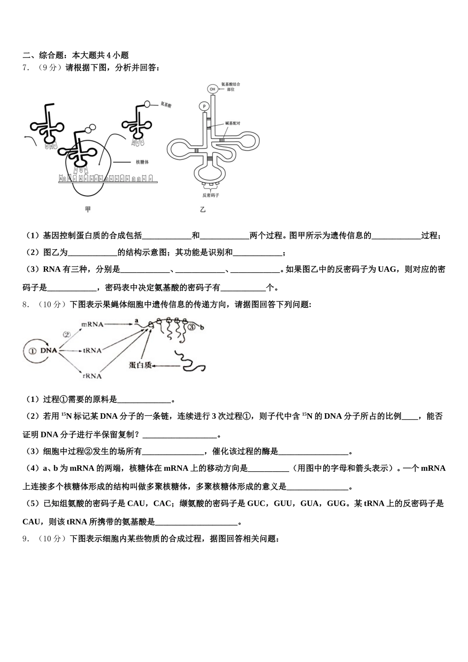 2025年辽宁省沈阳市第1生物高一下期末达标检测试题含解析_第2页