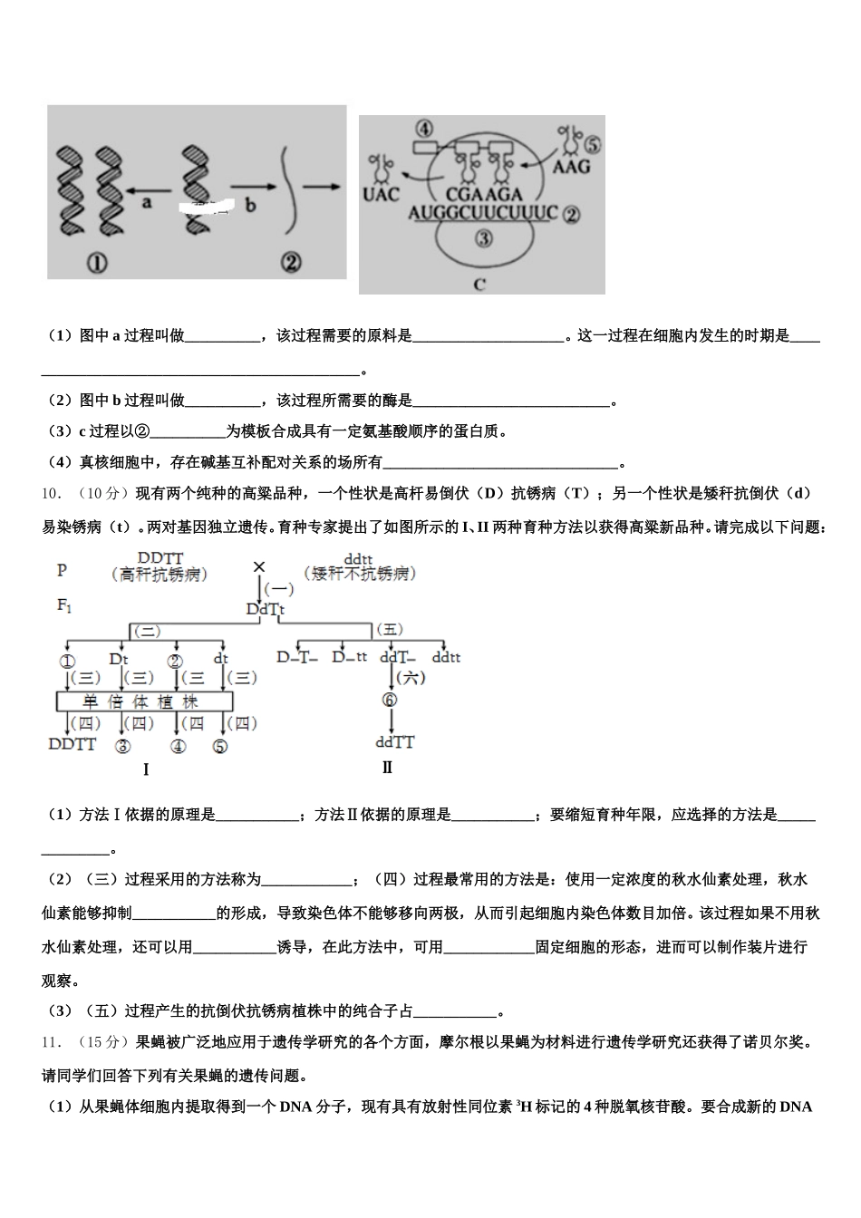 2025年辽宁省沈阳市第1生物高一下期末达标检测试题含解析_第3页