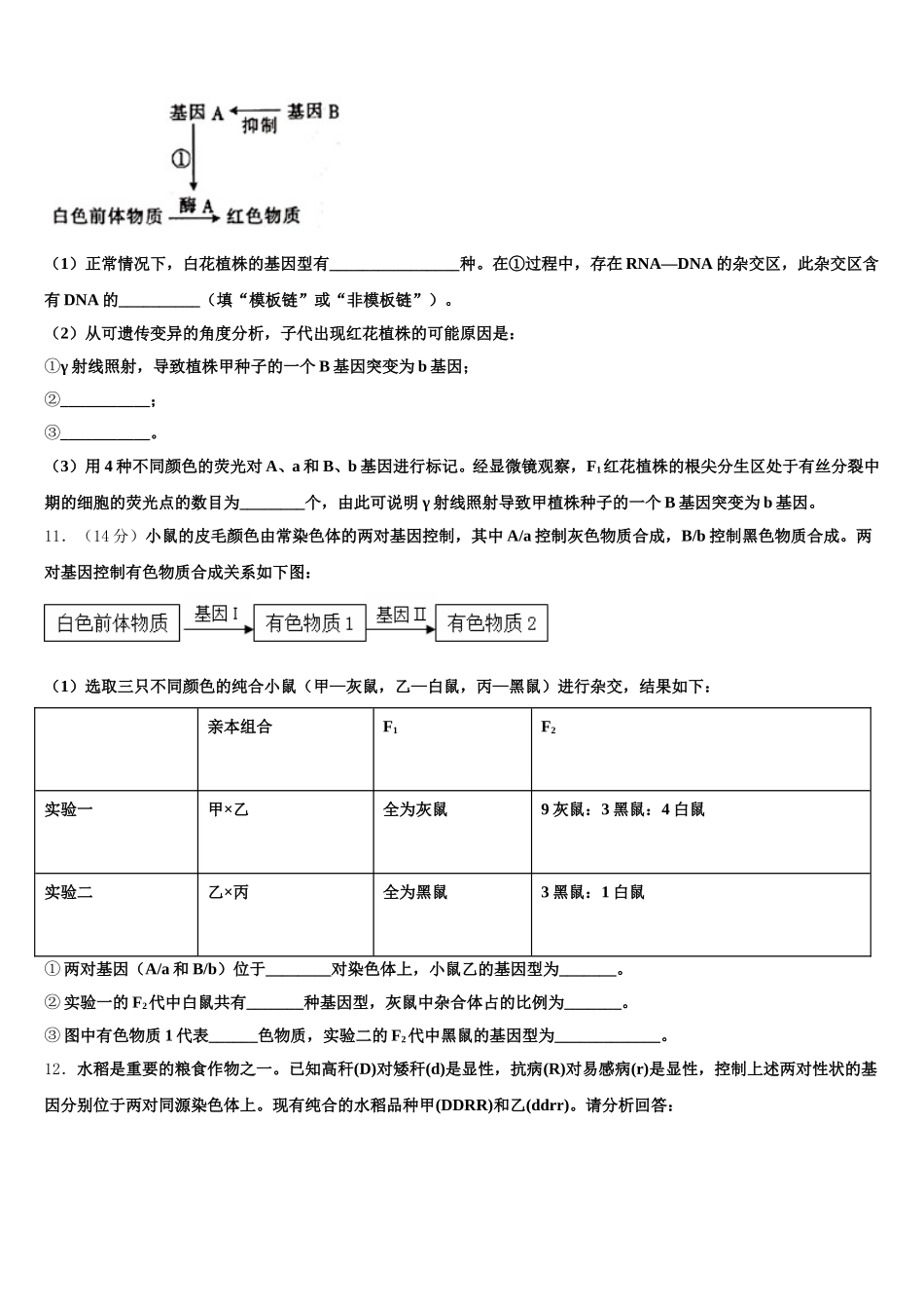 辽宁省抚顺市第十中学2025年高一下生物期末统考试题含解析_第3页