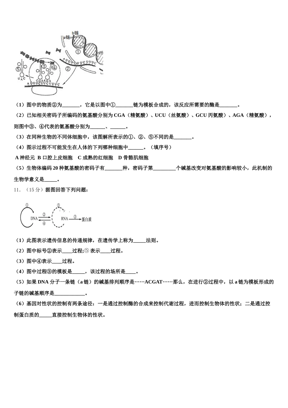 辽宁省庄河高级中学2025年高一下生物期末学业水平测试模拟试题含解析_第3页