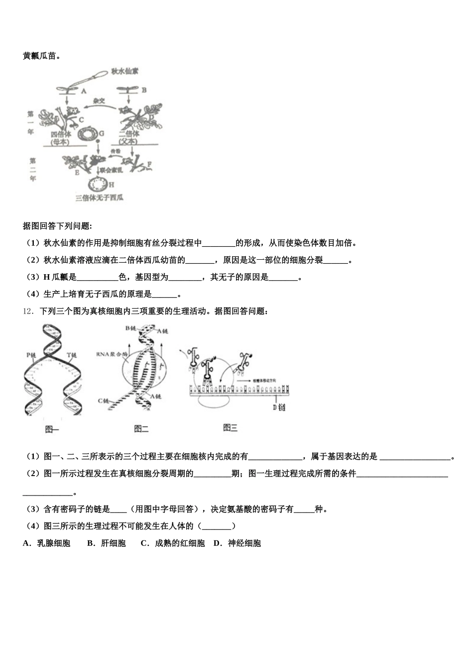 2025年辽宁省沈阳市第三十一中学生物高一第二学期期末质量跟踪监视试题含解析_第3页