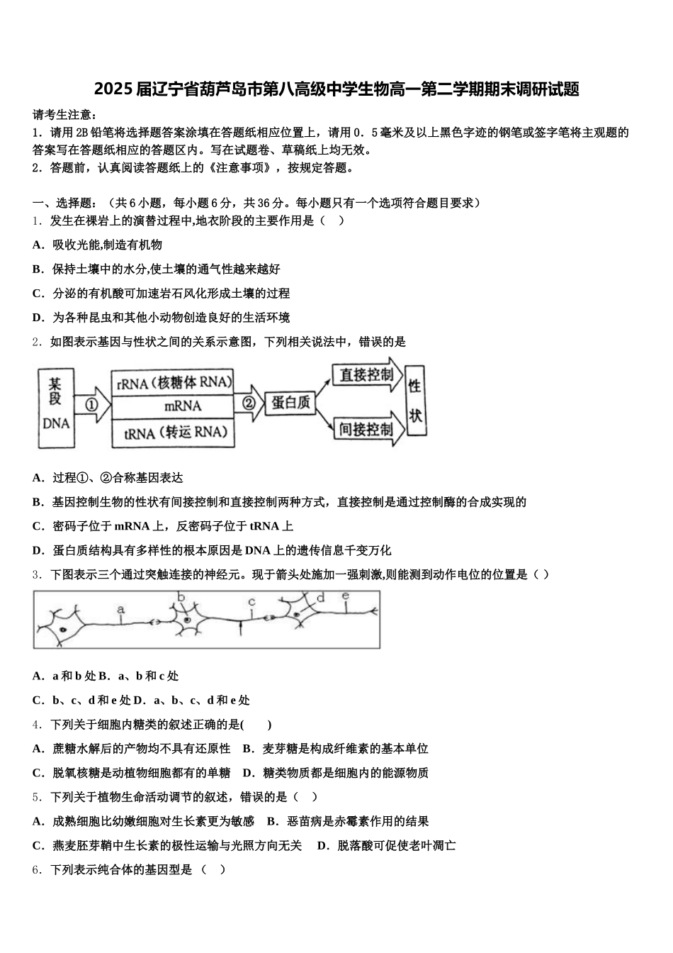 2025届辽宁省葫芦岛市第八高级中学生物高一第二学期期末调研试题含解析_第1页