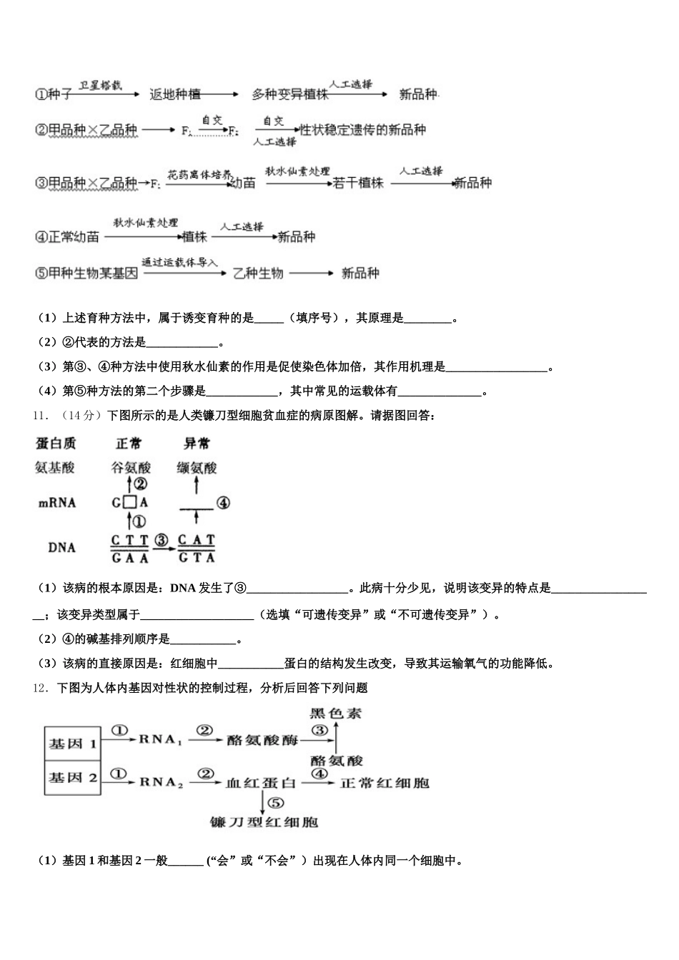 辽宁省凤城市通远堡高级中学2024-2025学年高一生物第二学期期末联考模拟试题含解析_第3页