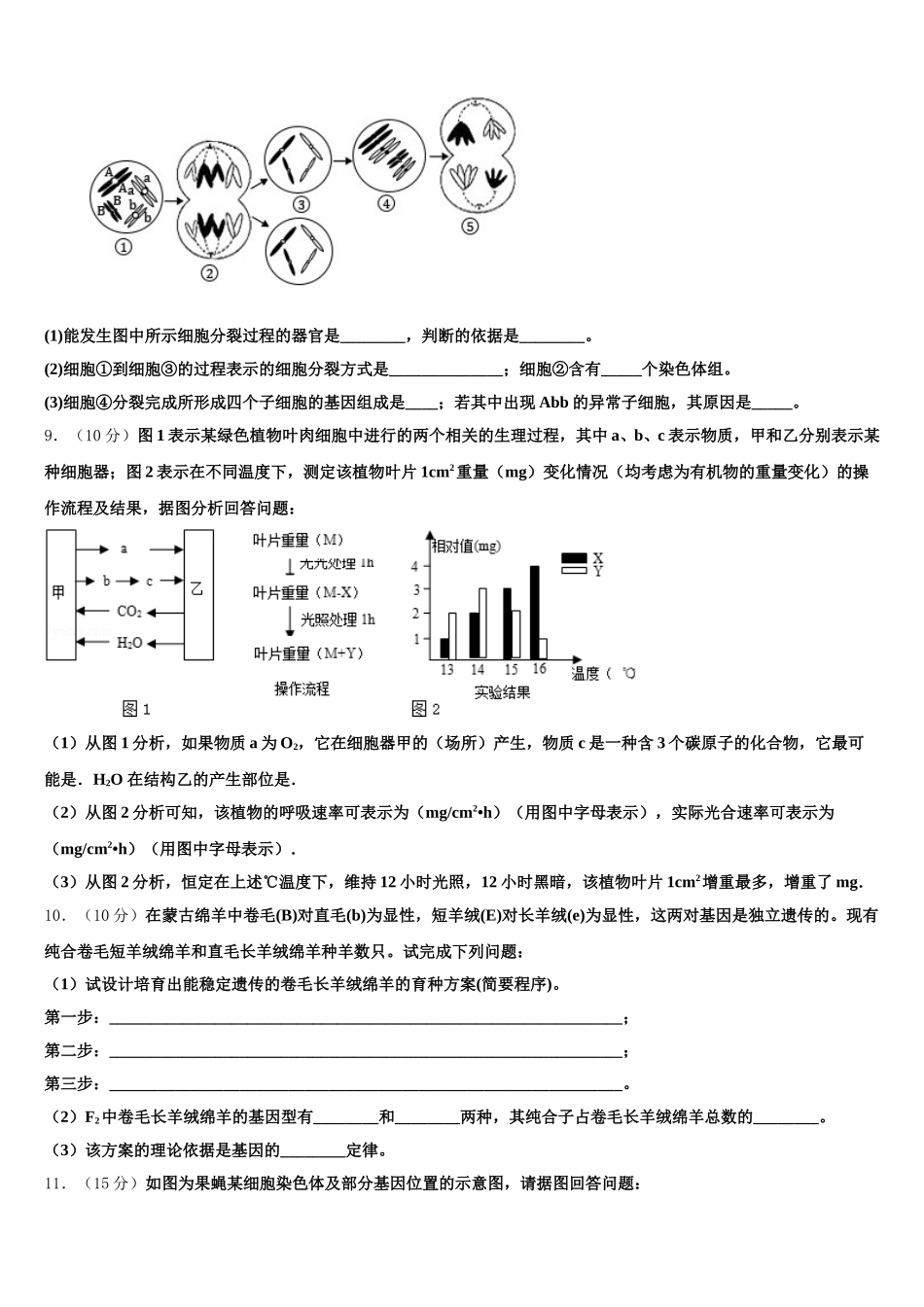 2024-2025学年辽宁省沈阳市第三十一中学生物高一下期末综合测试模拟试题含解析_第3页