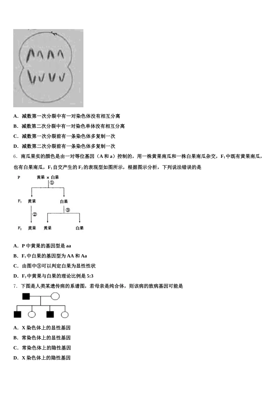 2024-2025学年辽宁省凌源市第二高级中学高一生物第二学期期末调研试题含解析_第2页