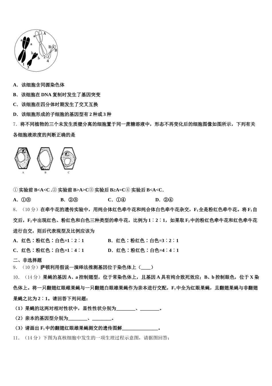 2025年辽宁省凌源市第二高级中学生物高一下期末调研模拟试题含解析_第2页