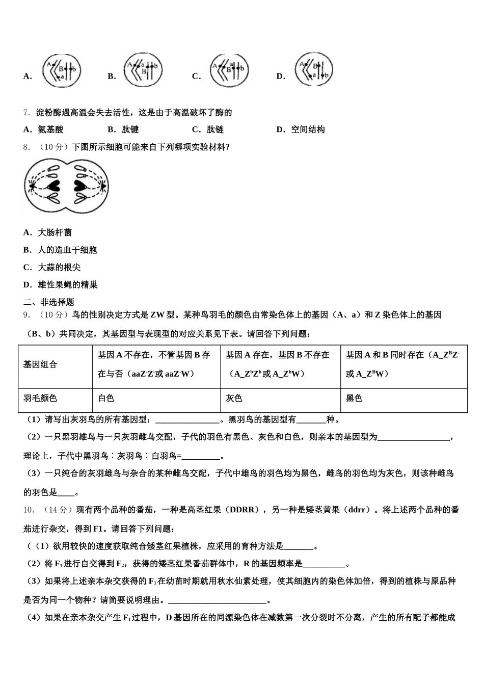 辽宁省丹东市第七中学2025届生物高一下期末学业质量监测试题含解析_第2页