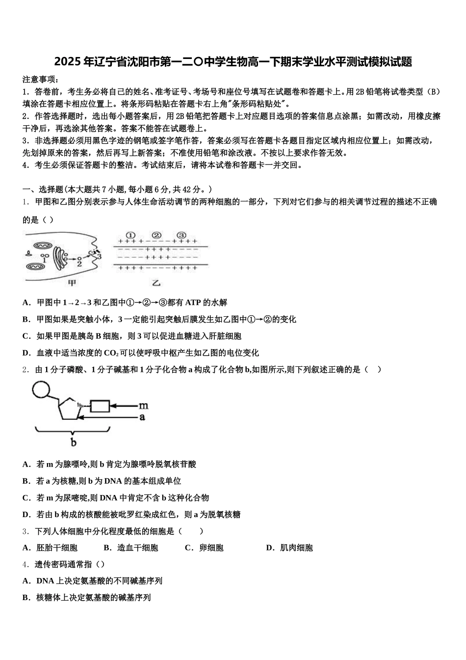 2025年辽宁省沈阳市第一二〇中学生物高一下期末学业水平测试模拟试题含解析_第1页