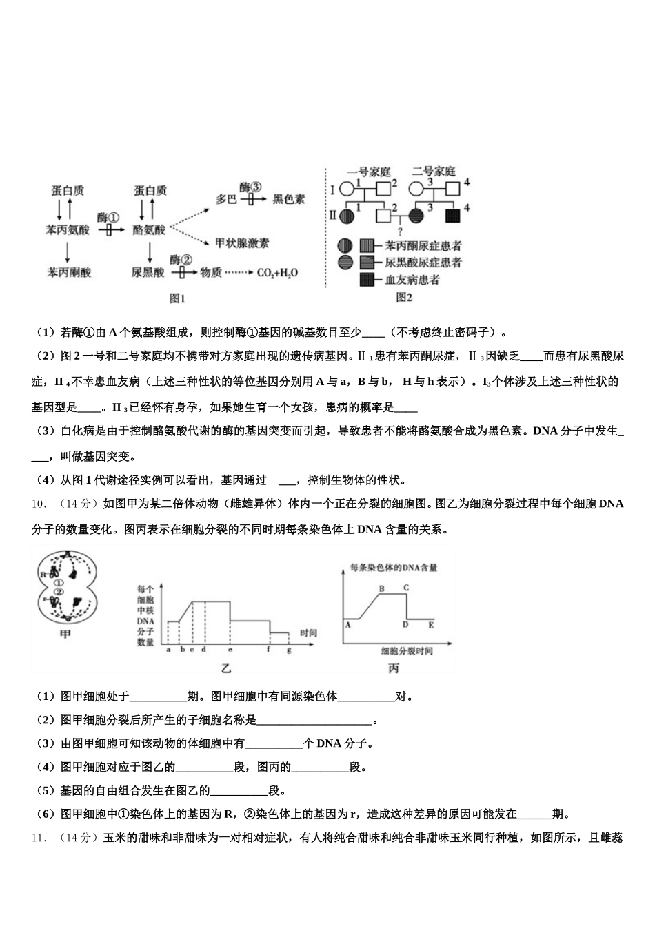 2025年辽宁省沈阳市第一二〇中学生物高一下期末学业水平测试模拟试题含解析_第3页