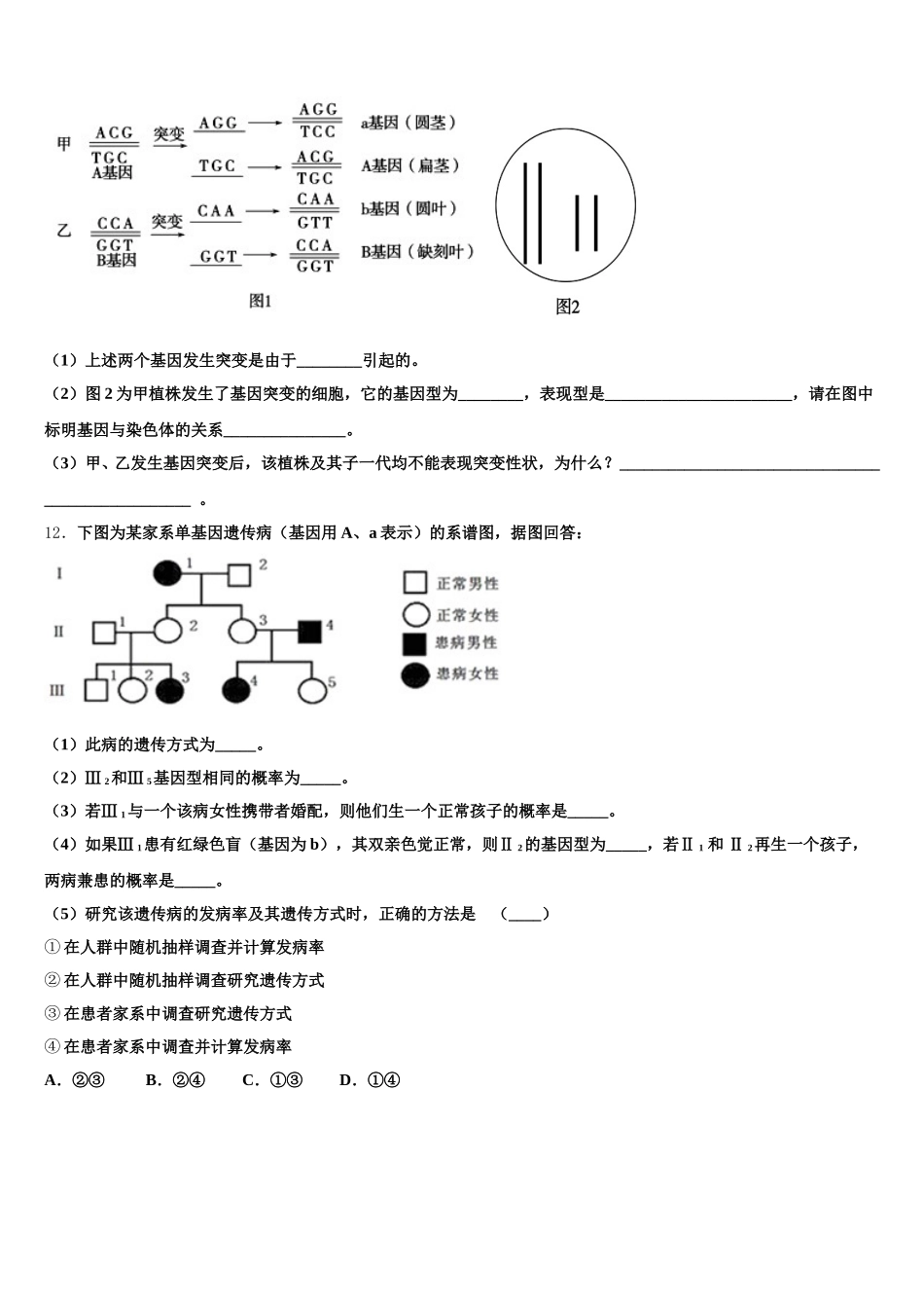 2025届辽宁省瓦房店市八中高一生物第二学期期末学业质量监测模拟试题含解析_第3页
