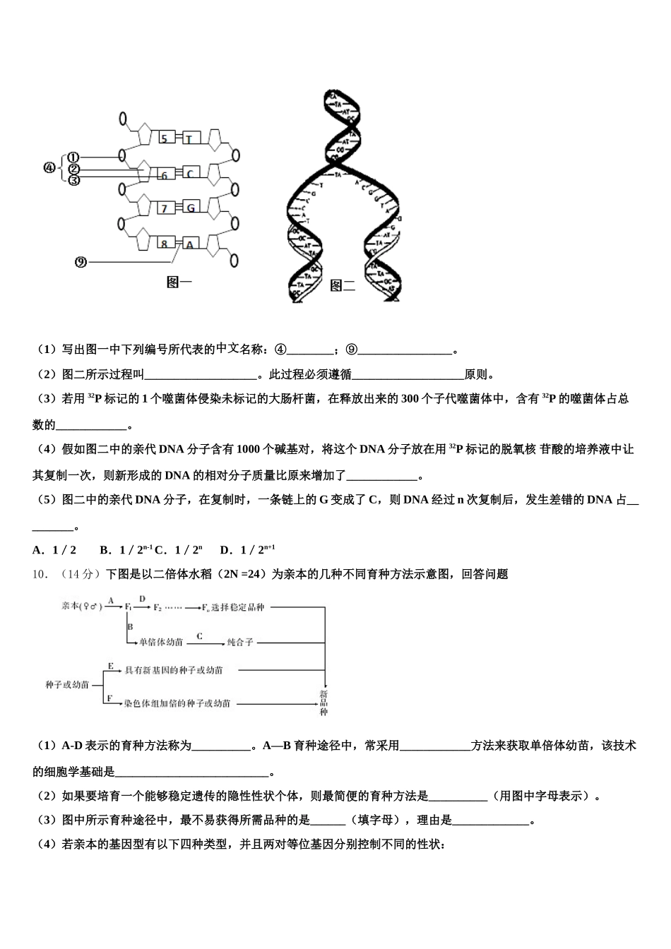 2025年抚顺市重点中学生物高一第二学期期末经典试题含解析_第3页