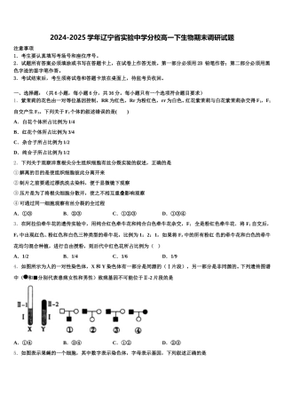 2024-2025学年辽宁省实验中学分校高一下生物期末调研试题含解析
