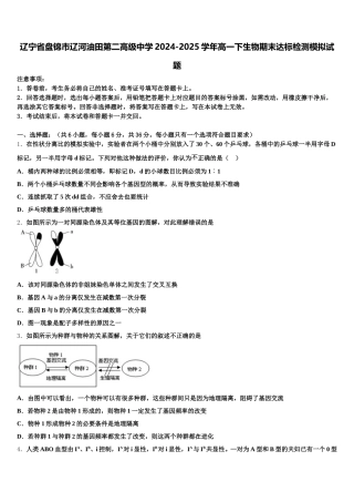 辽宁省盘锦市辽河油田第二高级中学2024-2025学年高一下生物期末达标检测模拟试题含解析