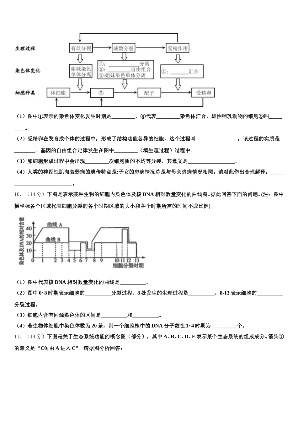 辽宁省庄河高级中学2024-2025学年高一下生物期末经典试题含解析_第3页
